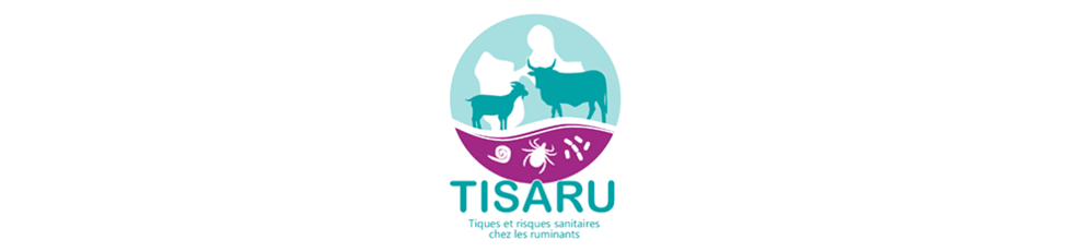 Projet TISARU bannière.png