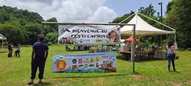 Festi Caprin Iguavie.jpg