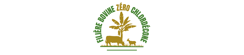 Bannière Projet Casdar zéro CLD.png