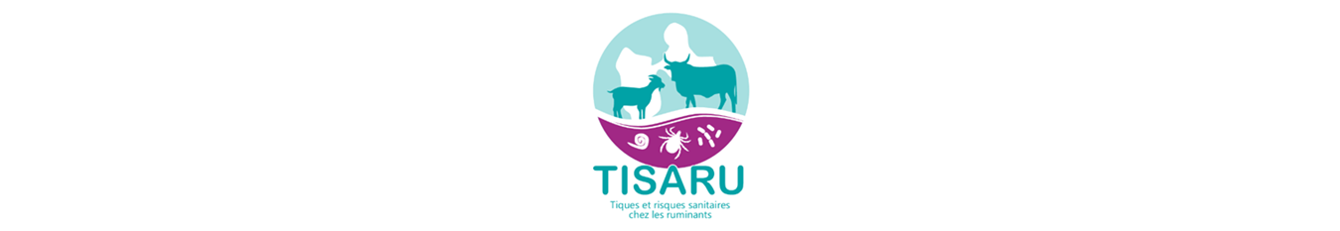 Projet TISARU bannière.png