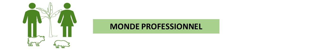 Monde professionnel bannière décentrée avec le titre.jpg