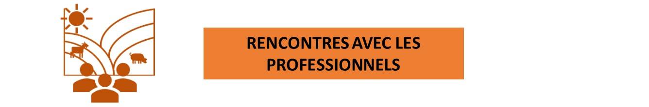 Rencontres avec les professionnels bannière décentrée avec le titre.jpg