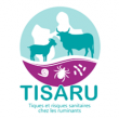 Projet TISARU bannière.png