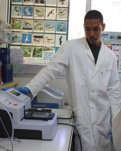 Image B2.jpg