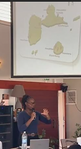 Tisaru séminaire 1 Présentation résultats Elodie Loyson.png