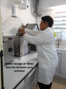 Visite élèves STL Abymes Atelier fibres Duclos Petit-Bourg 21 01 2025 MJM ASSET.png