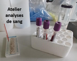 Visite élèves STL Abymes Atelier Analyses de sang Duclos Petit-Bourg 21 01 2025 MJM ASSET  (1).png
