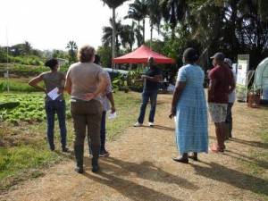 AgroEcodiv Visite exploitation pilote Groupes Duclos Petit-Bourg  11 05 2021 MJM URZ (22)