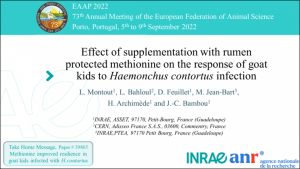 EAAP 2022 Diapositive