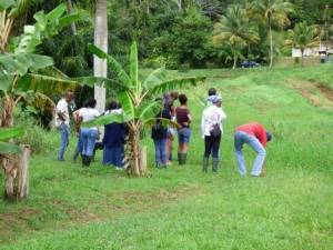 Visite ferme pilote Groupe de stagiaires Duclos Petit-Bourg 10 03 2020 MJM URZ