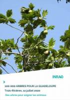 Flyer 100 000 arbres pour la Guadeloupe