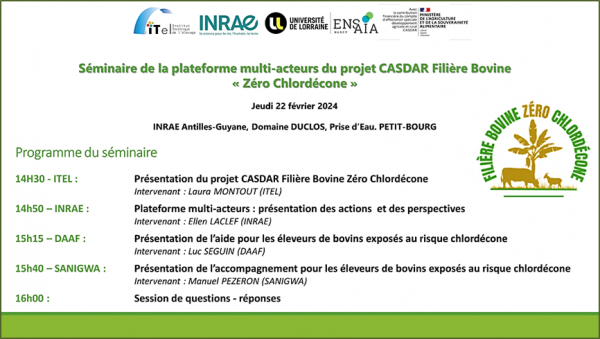 0CLD Flyer atelier 22 02 2024.png