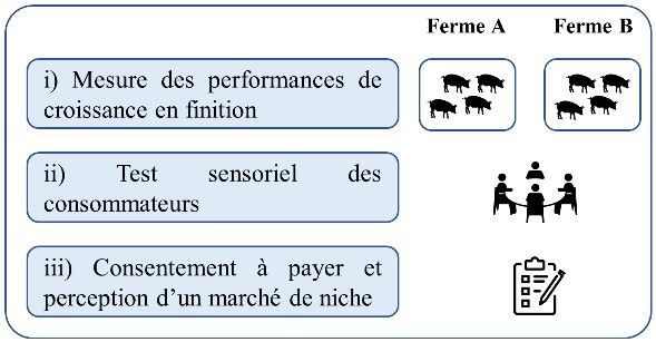 c4543378cecf-methodologie.jpg