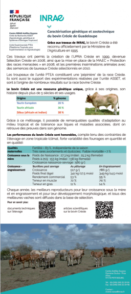 Capture d'écran 2025-03-17 133953.png