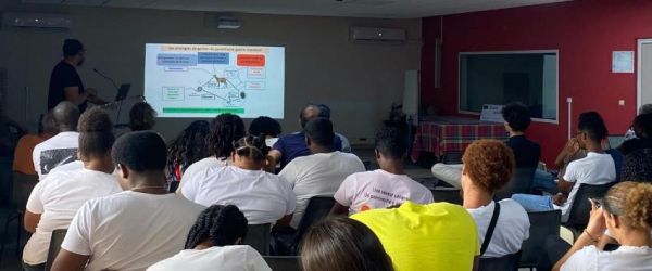 Tisaru séminaire 2 présentation résultats JC Bambou.jpg