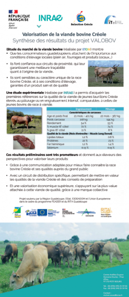 Capture d'écran 2025-03-17 133842.png