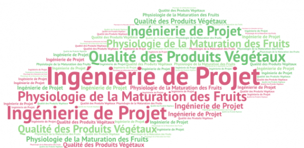 BernardMots
